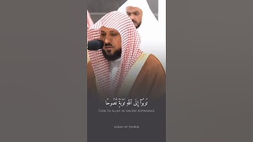 ماهر المعيقلي #قرآن #اكسبلور #تلاوة_خاشعة #قران_كريم #تلاوات #ماهر_المعيقلي #ماهرالمعيقلي