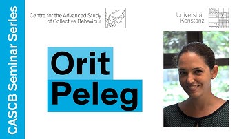 Orit Peleg - Collective Ecophysiology and Physics of Honey Bee Swarms | CBSS