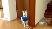 РАЗВЛЕКАТЕЛЬНЫЙ КАНАЛ SUNDAY