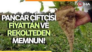 Çiftçinin Şekerpancarı Söküm Mesaisi Başladı