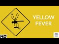 Yellow Fever Causes Signs And Symptoms Diagnosis And Treatment