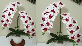 DIY Cara Membuat Bunga Anggrek Latek Dari Plastik Kresek | orchid flower from plastic bags