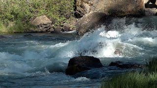 Swift water experts offer safety advice after paddleboarder dies on Deschutes River
