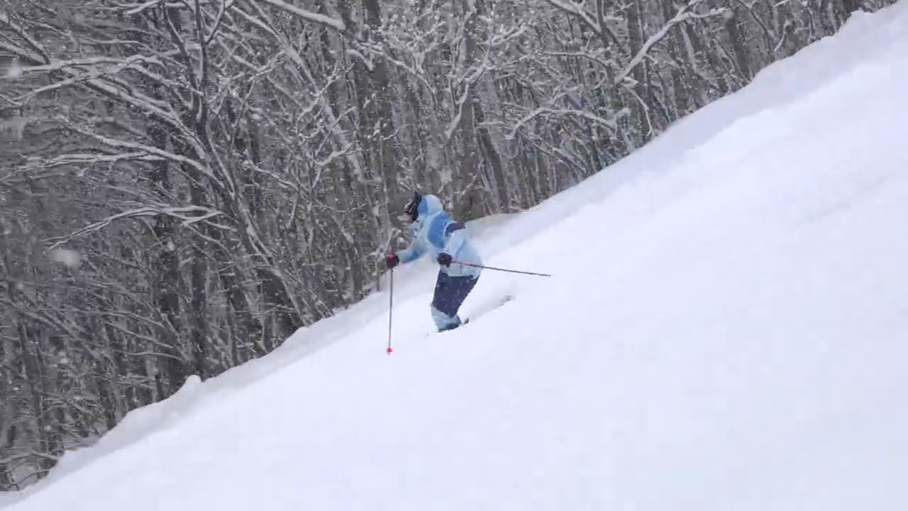 RichiBerger Skiworld 176