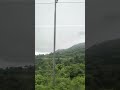 forest ghana forest denger