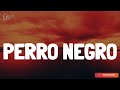 Bad Bunny - PERRO NEGRO (Lyrics/Letra)