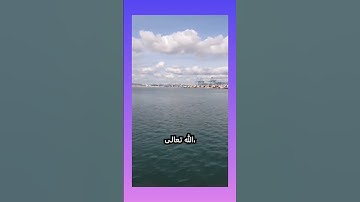 سورة الرزق #دويتو #horse #اكسبلور