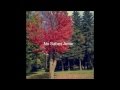 Avenida 6 - No Sabes Amar