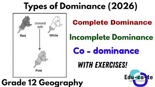 Types of Dominance (with practice activities) - Grade 12 Life Sciences