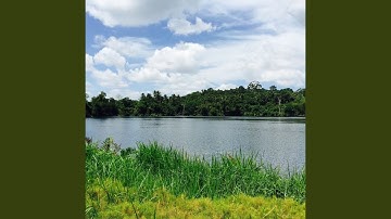 Peaceful Jazz Sax with Strings - Vibe for Quarantine