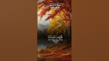 #تلاوة_خاشعة #قرآن #ارحقلبك #راحة_نفسية #quran #دويتو #حالات_واتس #duet #الصلاة #ﷺ #دعاء #ترند #الله