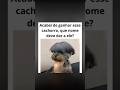 Seja criativo com o nome #dog #shorts #edit #viral