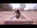 Animals Dip in for a Drink During Australian Drought || ViralHog