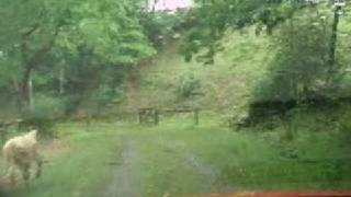 Flat Top Mountain: The Drive
