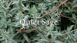 Quiet Sage — Soft Piano Ambience for Concentration & Serenity screenshot 3