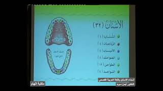 أسماء الاسنان باللغة العربية الفصحى -اقسام الاسنان - الدكتور ايمن سويد