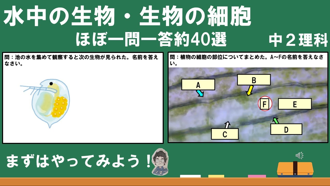 一問一答】中2生物1 水中の生物・生物の細胞 - YouTube