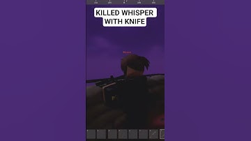 KILLED WHISPER WITH KNIFE |project delta
