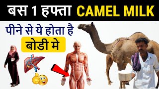 बस 1 हफ्ता ऊंटनी का दूध पीने से ये फायदे मिलते है : Camel ka Dudh : Camel  Milk Benefits