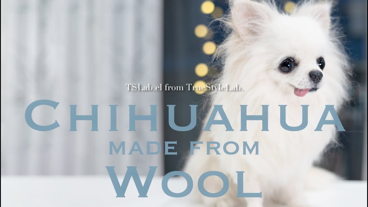 羊毛フェルト】Needle Felted Chihuahua / 羊毛フェルト チワワ - YouTube