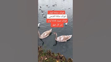 اذكار النوم 🌙 #اكسبلور #دويتو #duet