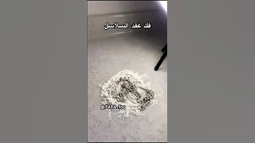 البرازيل اغنية جيش البندورة لحياة افضل Anime اينوسكي لأمل وبس اكسبلور ترند Shorts 
