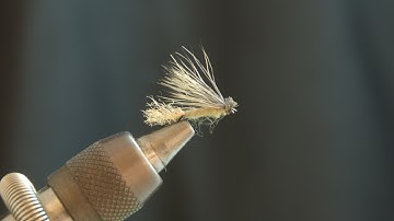 X-Caddis - Fly Tying Lesson Video Tutorial by Curtis Fry