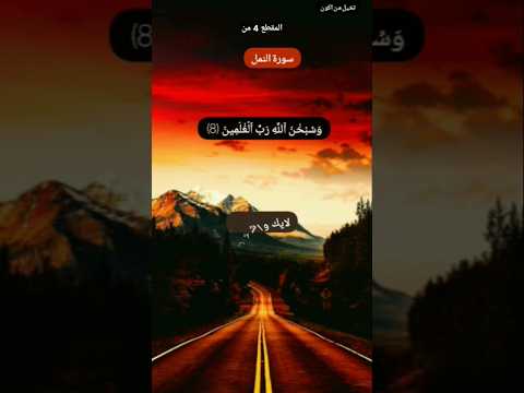 فلما جاءها نودي أن بورك من في النار ومن حولها قران ياسر الدوسري