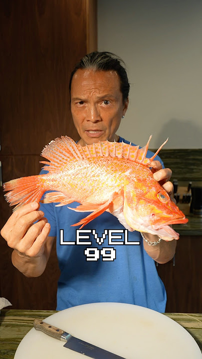 level 1 VS level 99 Cooking!