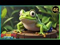 New frog song for kids  animagic kidsstudio