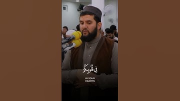 تلاوة خاشعة لا توصف للقارئ دلشاد احمد. #الشيخ #القران_الكريم #القارىء #سورة_القصص