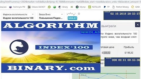 ALGORITHM Index*100 Binary.com
