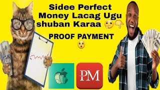 Sida Perfect Money Lacag Loogu Shubto|| Proof Payment 🤑💸😲||#subscribe screenshot 5