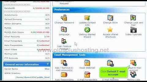 How to create a catchall email account in cpanel - RVSkin theme