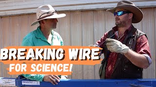 We Break Fencing Wire! Soft vs High Tensile – What You Need to Know screenshot 5