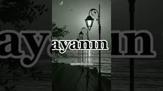 Ha Ölmüşsün Ağlayanın Yok…