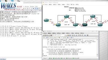 CCIE ISP 2 MPLS VPN OptionA part2