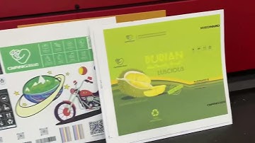 Oyang corrugated single pass digital printing machine