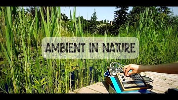 Volca AMBIENT SOUNDSCAPE @Arboretum (Keys and NTS-1) Part 1