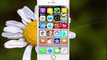 How to enable or disable twitter media previews  on iPhone 6