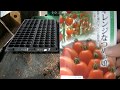 トマト種まき　　＃63