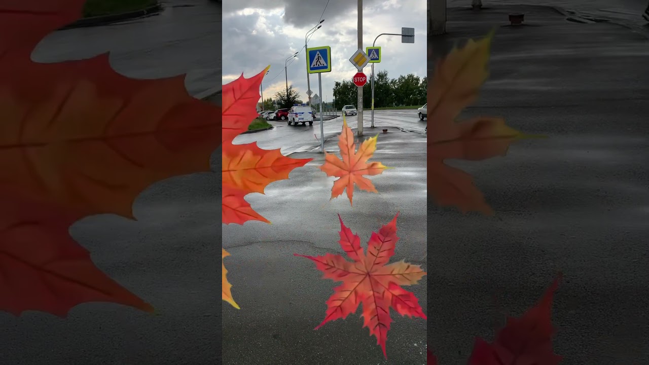 Ливень в Барнауле 