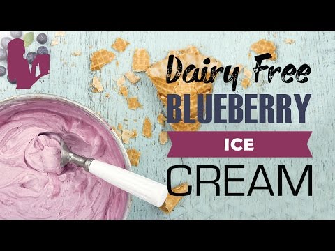 delicious-blueberry-ice-cream-recipe-made-using-a-vitamix-or-blendtec-commercial-blender
