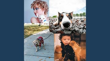 Pulsating Ambience for Cute Puppies