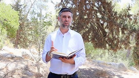 Bitachon 167 - The Sin of Hishtadlus