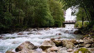 Peaceful River Flow Sounds in Forest Waterfall | Ultimate Relaxation & Sleep Aid | River White Noise