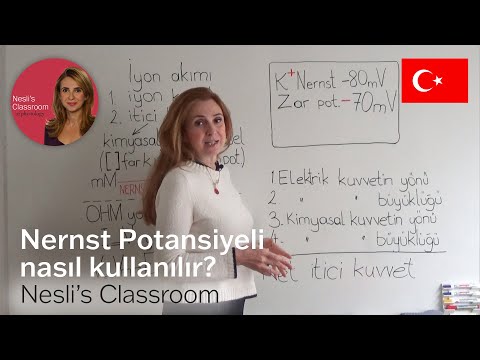 Nernst Potansiyeli nasıl kullanılır