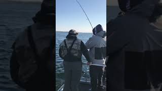 Five0 Lure Co. Bad boy blade baits for giant walleyes