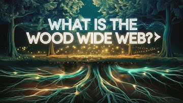 The Wood Wide Web 🌳 | knowLine