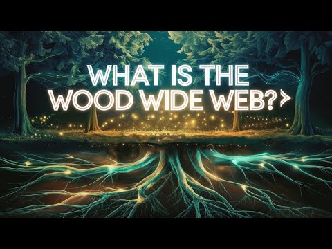 The Wood Wide